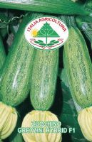 Zucchino greyzini hybrid f1